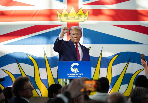 Kerry-Lynne Findlay as seen by BC NDP-friendly media